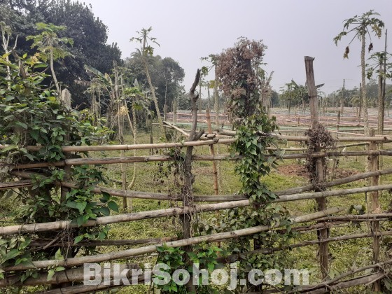 পূর্বাচলের কাছে ৬ বিঘা আকর্ষণীয় জমি